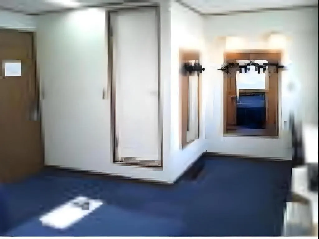 Tokyo Business Hotel 0*,