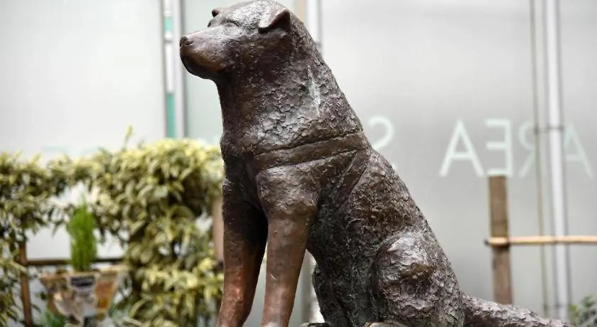 東京ビジネスホテル 東京都 0*,